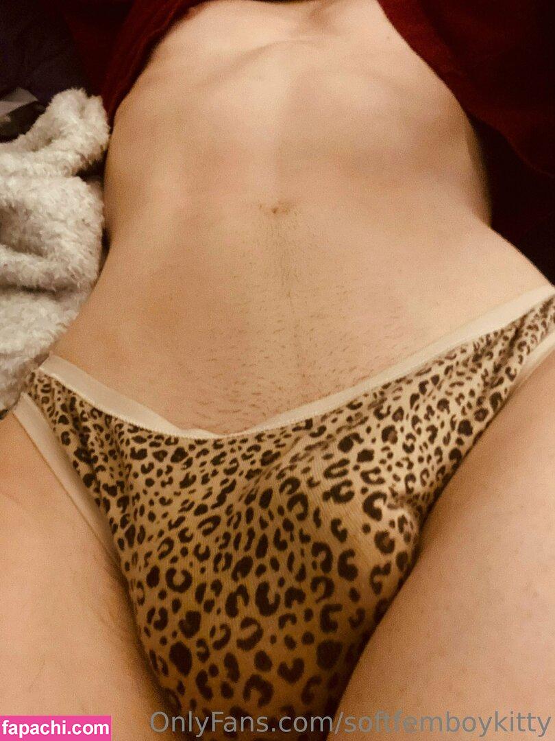 softfemboykitty / myfriendsmademebuyit leaked nude photo #0118 from OnlyFans/Patreon