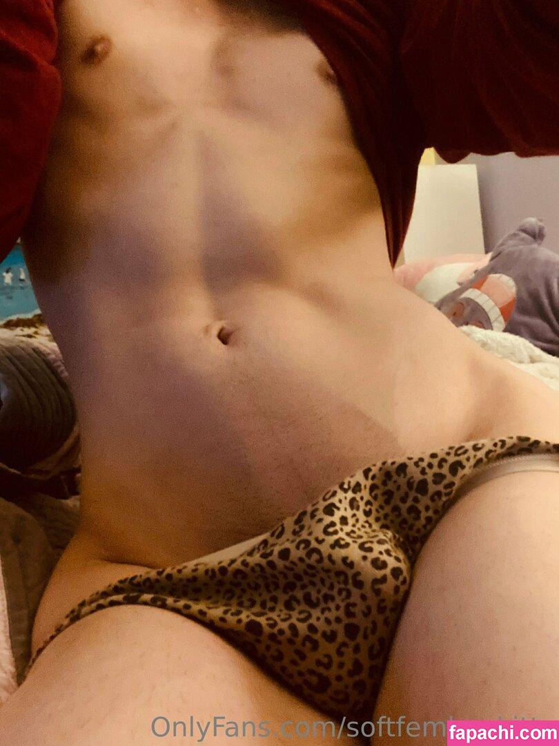 softfemboykitty / myfriendsmademebuyit leaked nude photo #0121 from OnlyFans/Patreon