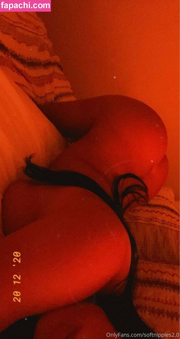 softnipples2.0 / Paige Zayec / softnipples_ leaked nude photo #0092 from OnlyFans/Patreon