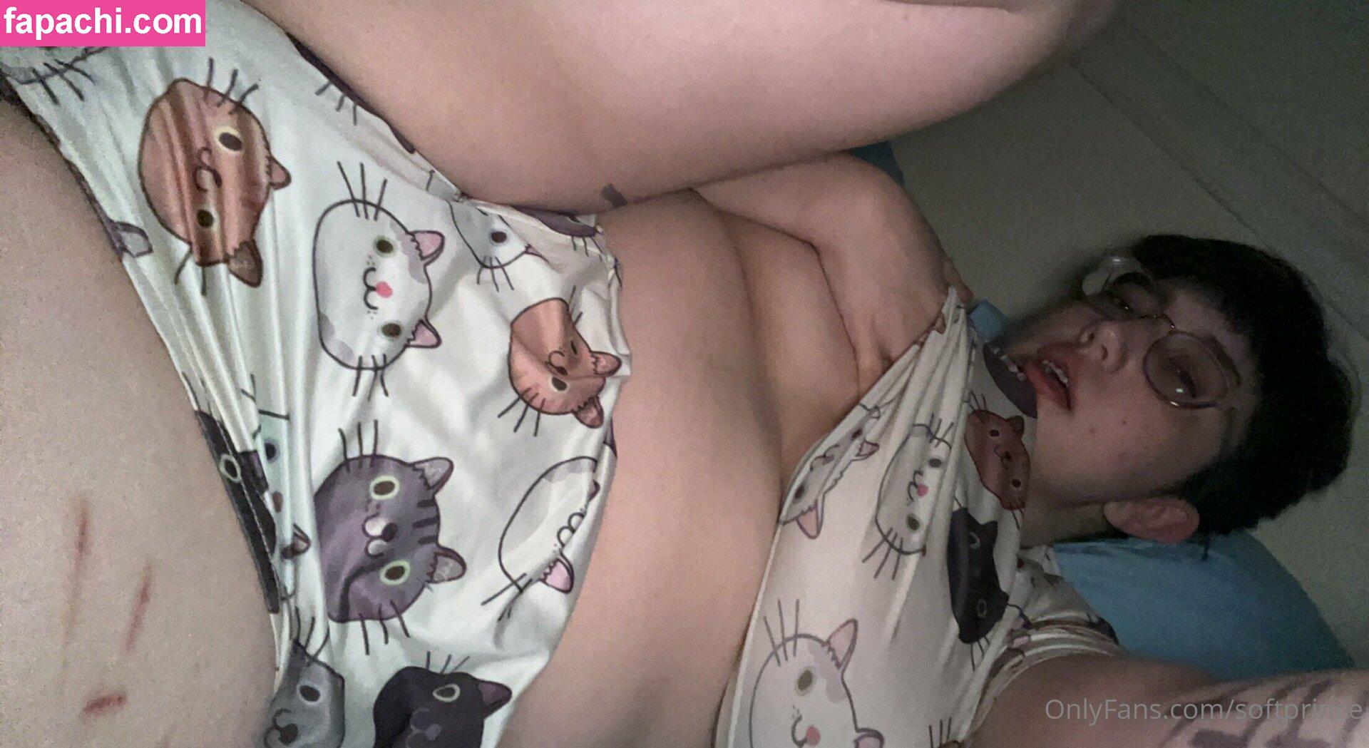 softprince / softprince02 leaked nude photo #0047 from OnlyFans/Patreon