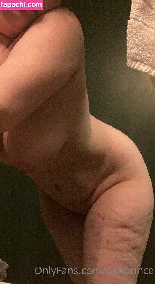 softprince / softprince02 leaked nude photo #0065 from OnlyFans/Patreon