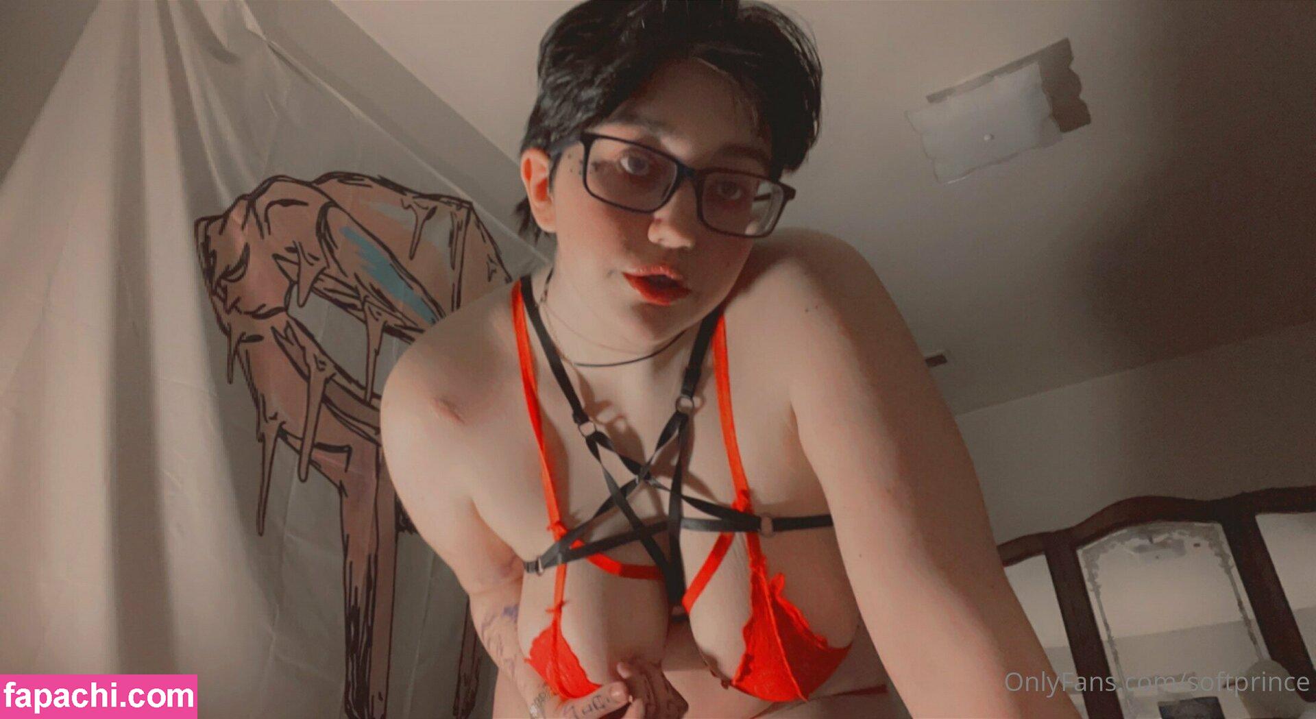 softprince / softprince02 leaked nude photo #0071 from OnlyFans/Patreon