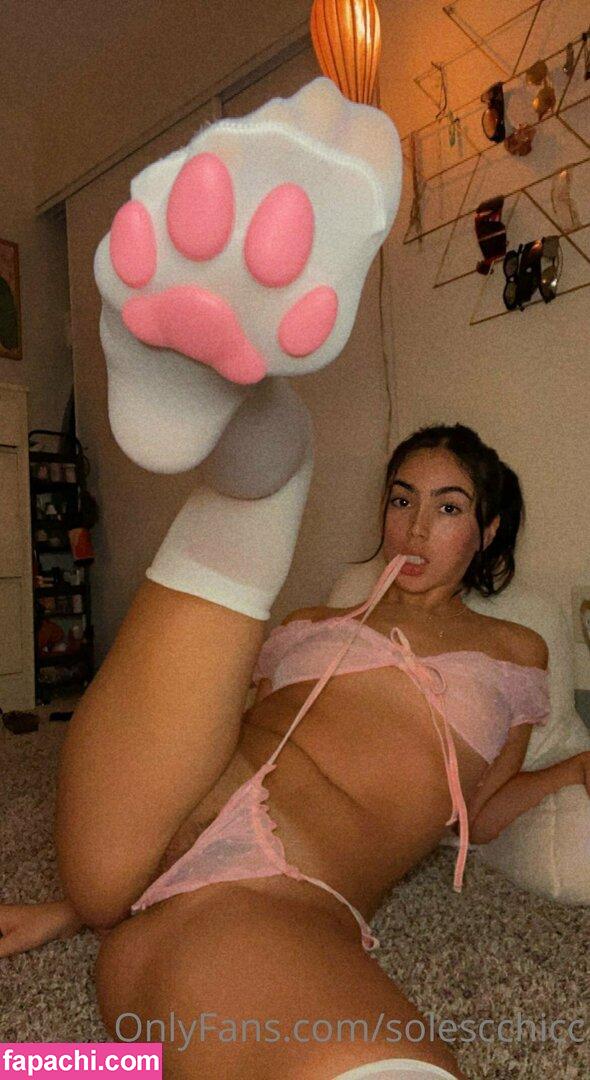 soleschicc / solechicccc / solescchicc leaked nude photo #0026 from OnlyFans/Patreon