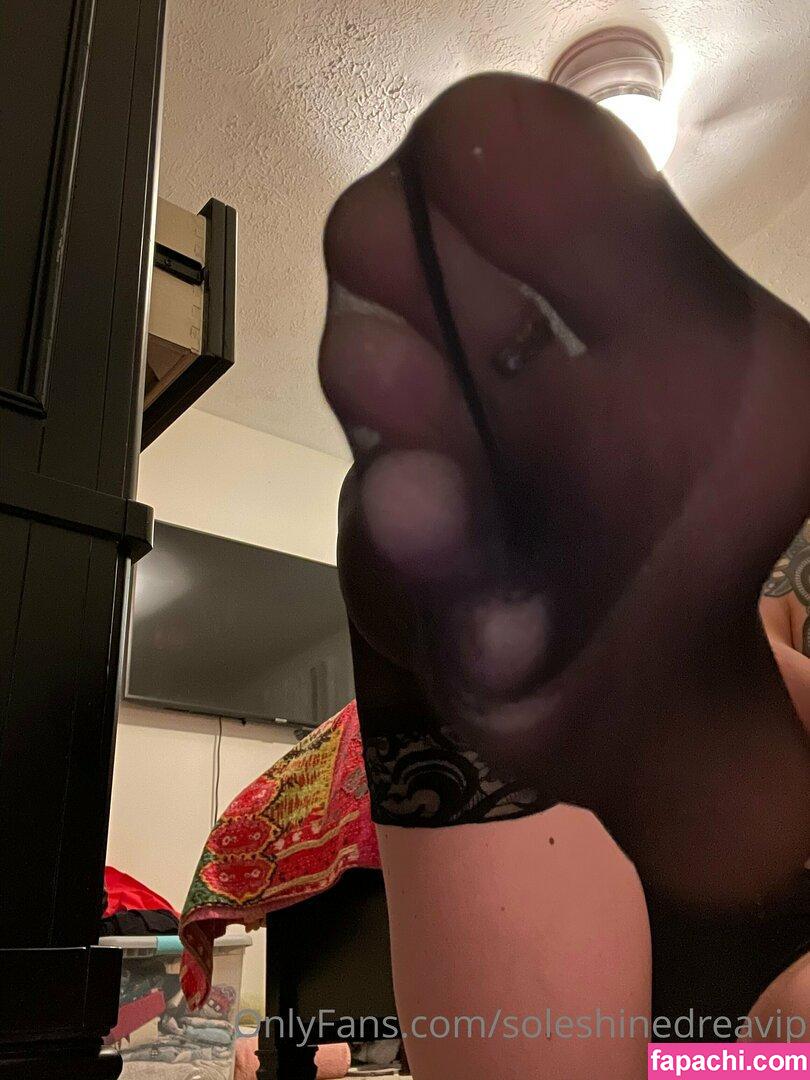 soleshinedreavip / thepoorpantry leaked nude photo #0071 from OnlyFans/Patreon