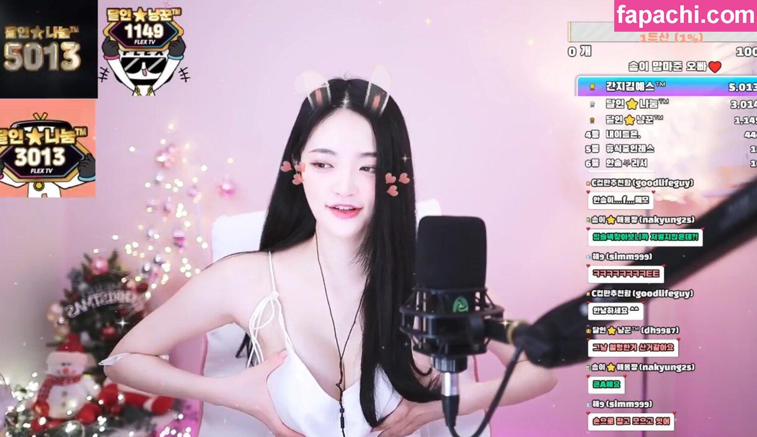 somsom_o0o / Somyi / 안솜이 leaked nude photo #0011 from OnlyFans/Patreon