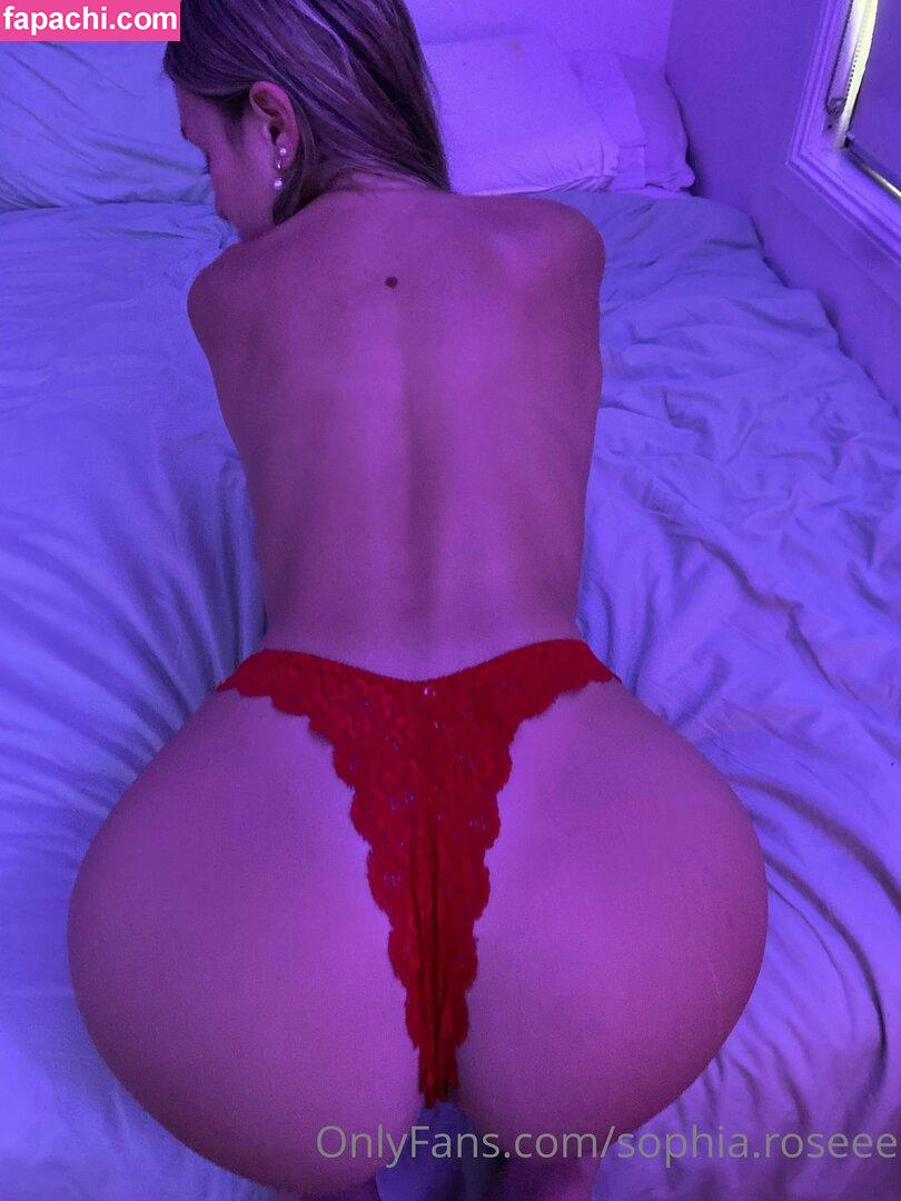 Sophia Heterick / Sophia Rose / sophia.heterick / sophia.roseee / sophiarose444 leaked nude photo #0157 from OnlyFans/Patreon