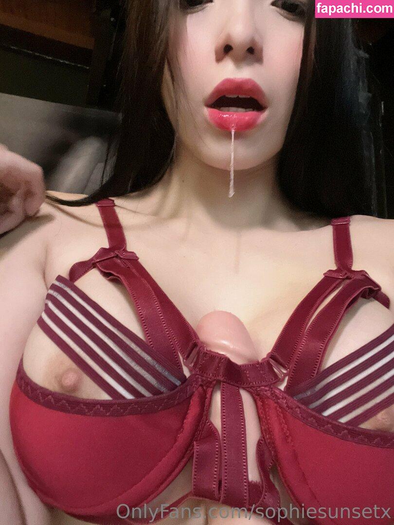 sophiesunsetx / sophiescotttx leaked nude photo #0024 from OnlyFans/Patreon