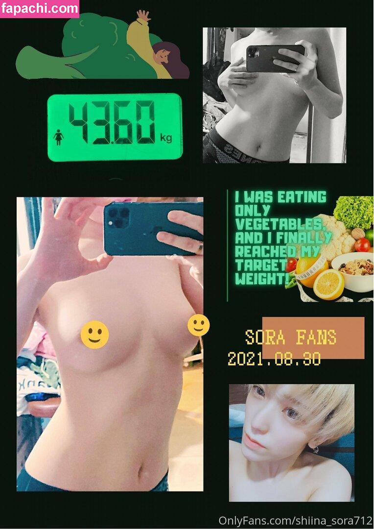 Sora Shiina / shiina_sora712 / shiinasora77 / 椎名そら leaked nude photo #0016 from OnlyFans/Patreon