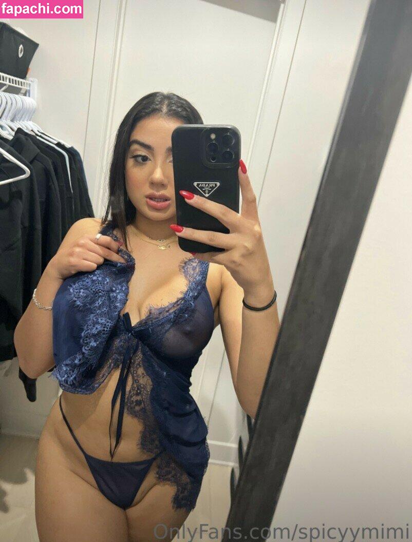 Spicy Mimi / explicitmejojo / sweetspicymimi leaked nude photo #0017 from OnlyFans/Patreon