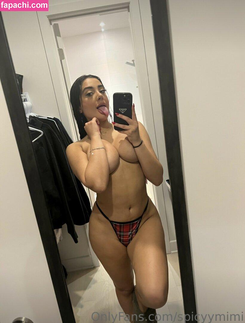 Spicy Mimi / explicitmejojo / sweetspicymimi leaked nude photo #0020 from OnlyFans/Patreon