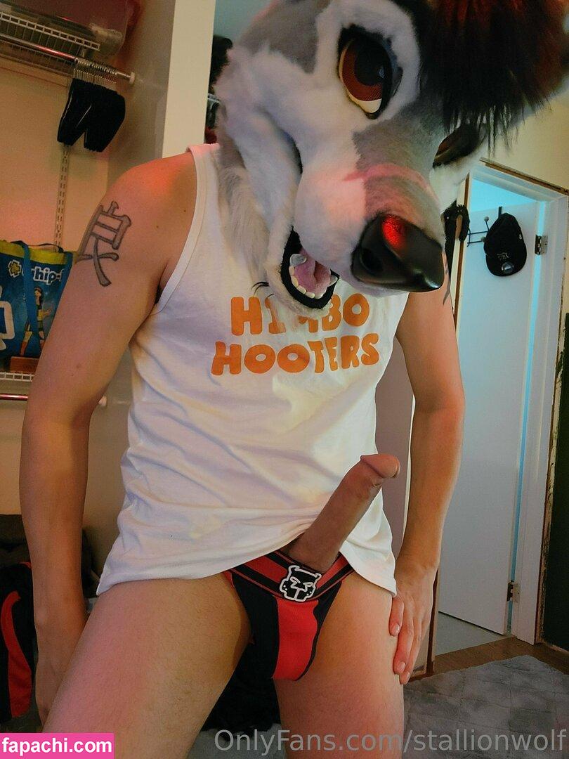 stallionwolf / silverglade.eventing.team leaked nude photo #0035 from OnlyFans/Patreon