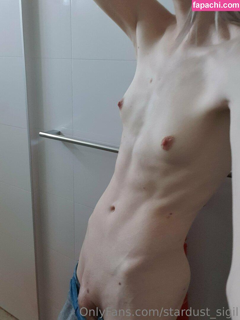 Stardust_Sigil / Lawrendesu leaked nude photo #0011 from OnlyFans/Patreon