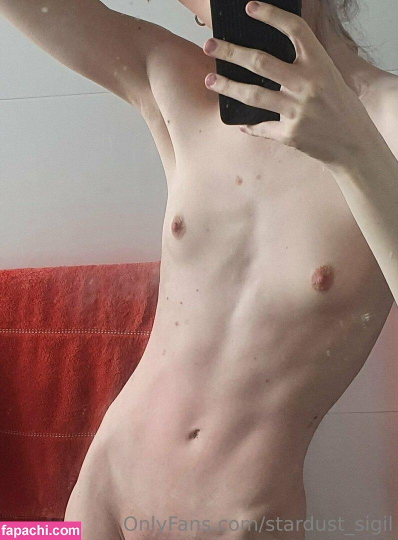 Stardust_Sigil / Lawrendesu leaked nude photo #0013 from OnlyFans/Patreon