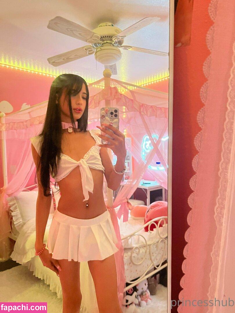 Stelluhb / Princesshub / princ3sst3lla leaked nude photo #0167 from OnlyFans/Patreon