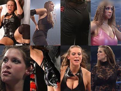 Stephanie McMahon leaked media #0376