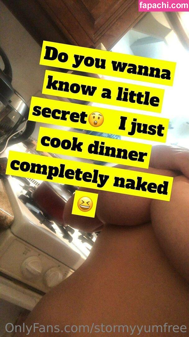 stormyyumfree / stormythereal leaked nude photo #0004 from OnlyFans/Patreon