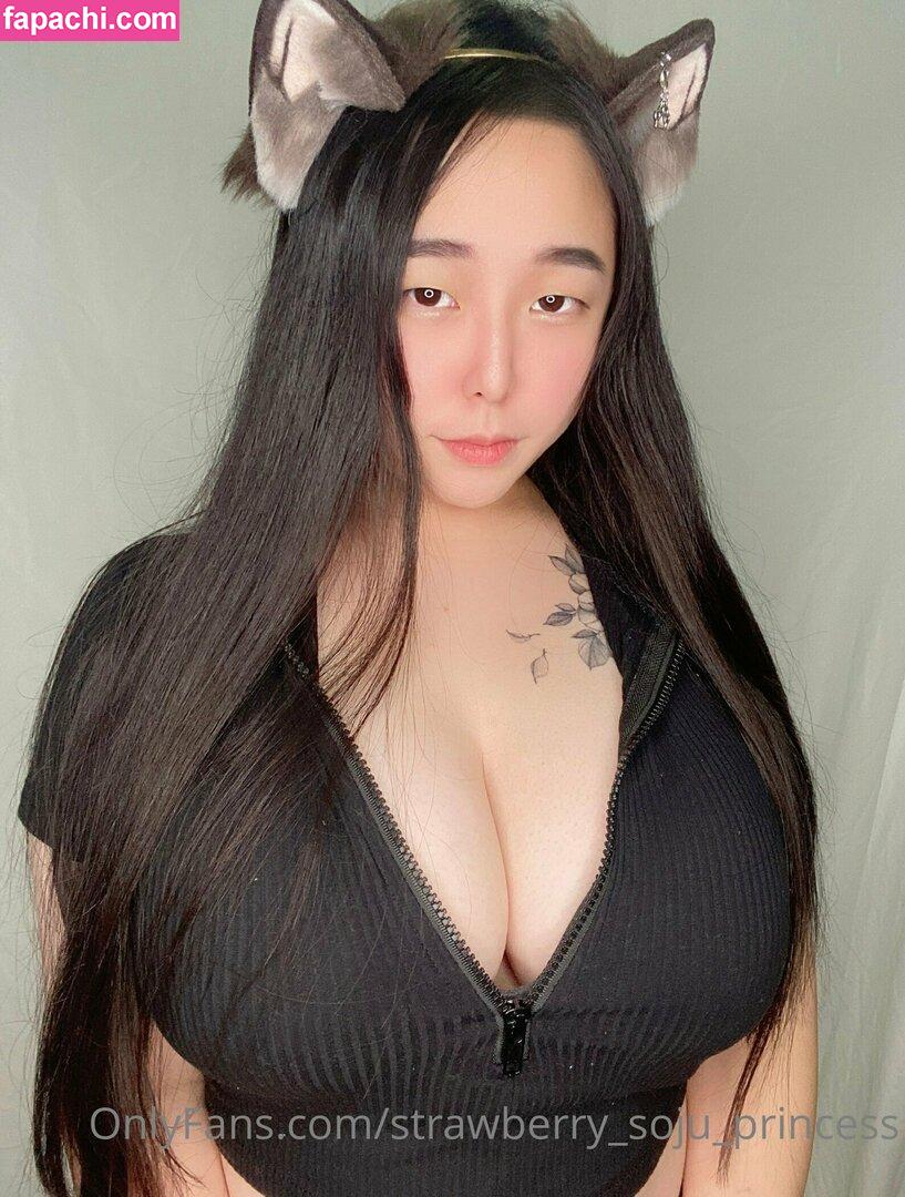 strawberry_soju_princess / instakrpice leaked nude photo #0039 from OnlyFans/Patreon