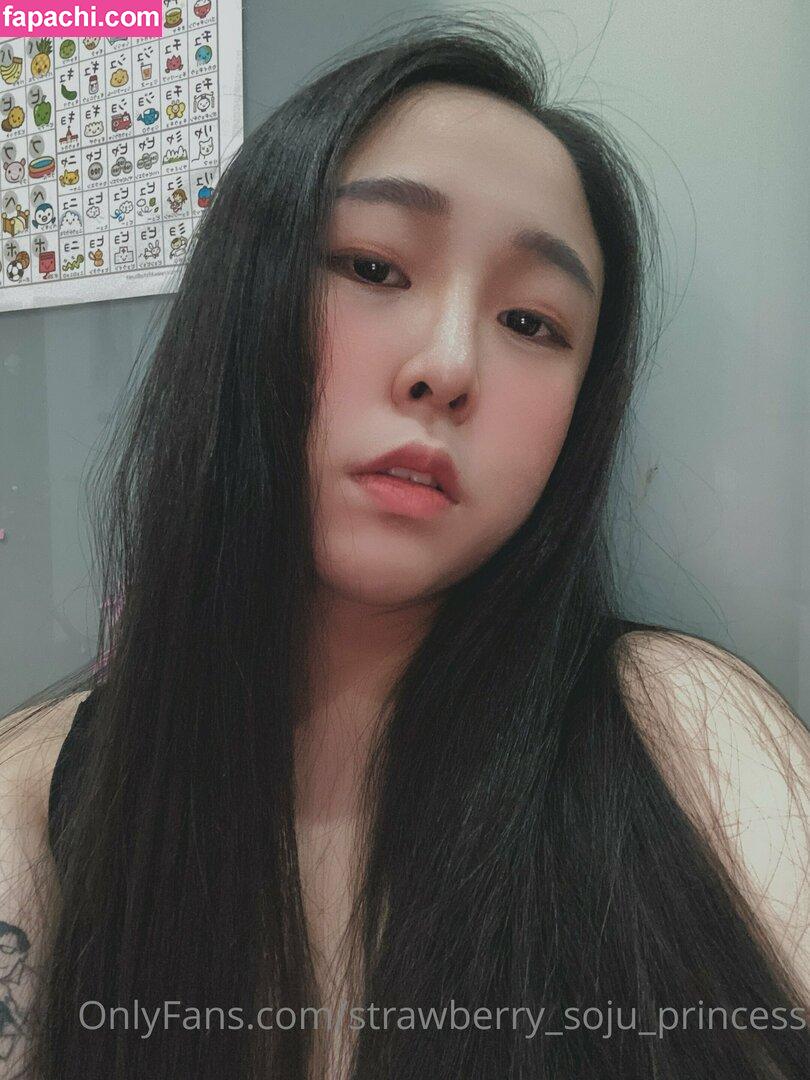 strawberry_soju_princess / instakrpice leaked nude photo #0043 from OnlyFans/Patreon