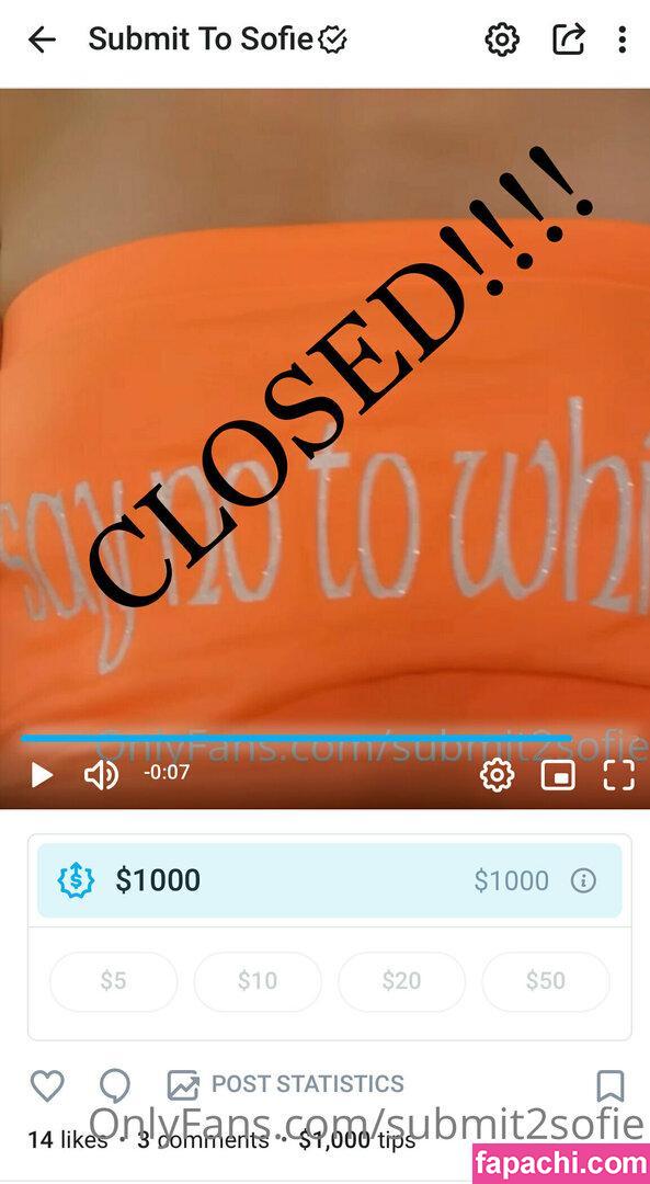 submit2sofie / slayerofliarsandscammers2.0 leaked nude photo #0046 from OnlyFans/Patreon