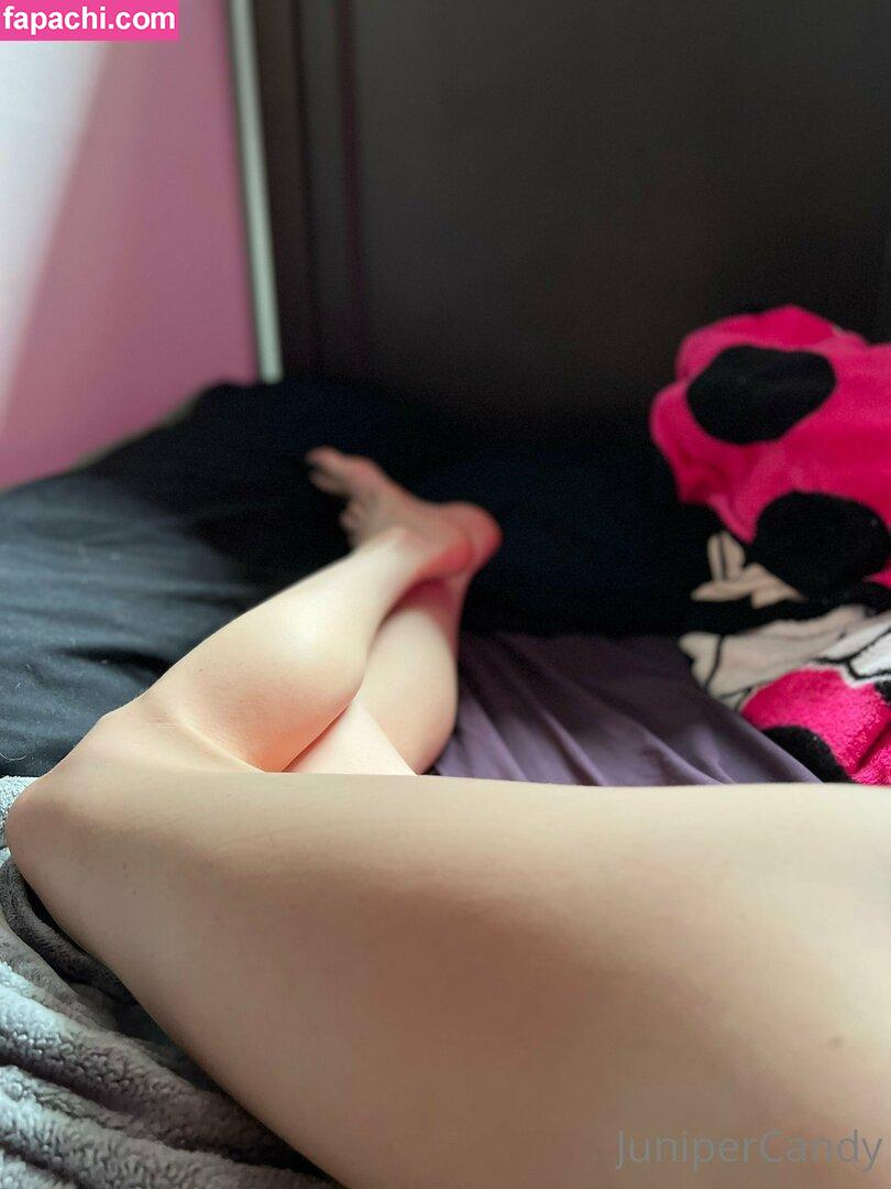 sugartime / sugartimeaus leaked nude photo #0014 from OnlyFans/Patreon