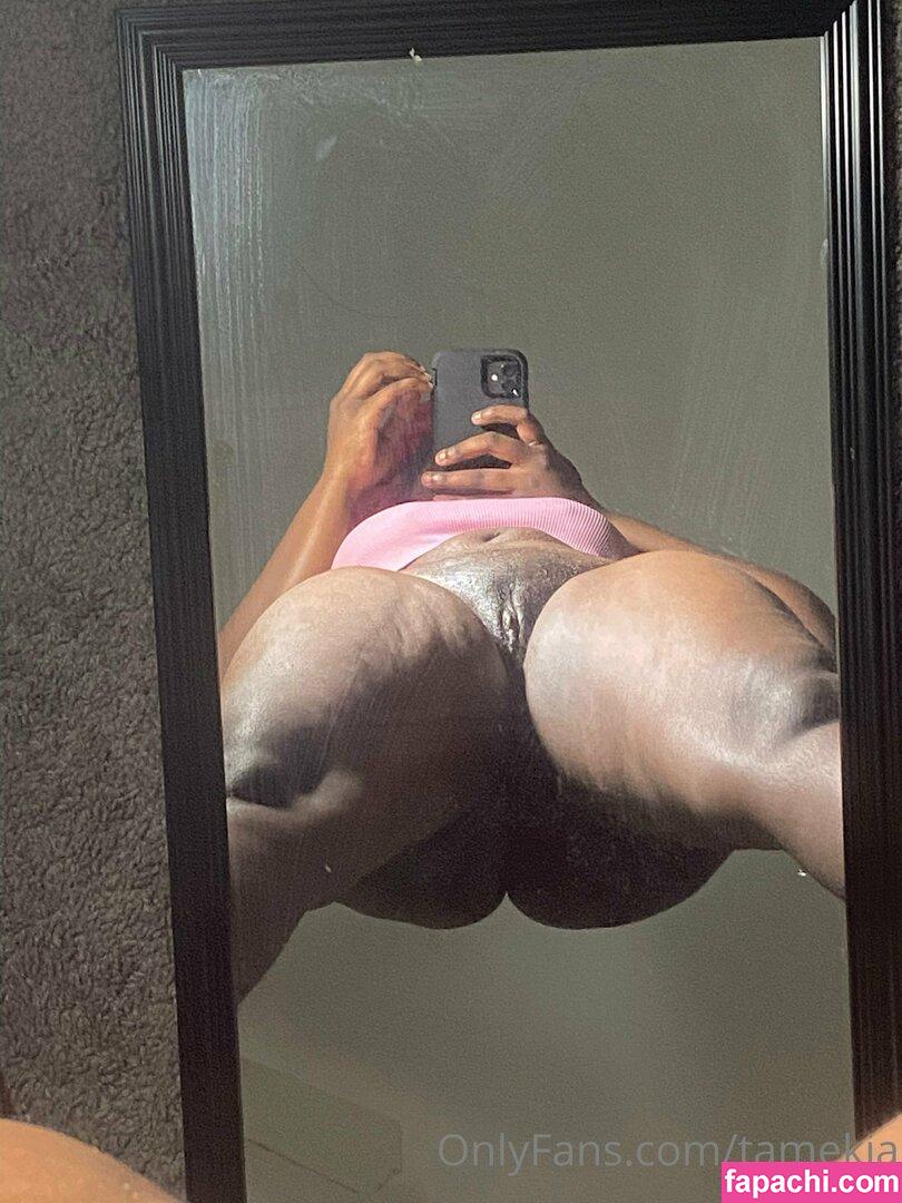 Tamekia / Tamekiaaa__ / lexi2thick / tamekia.tamekia leaked nude photo #0010 from OnlyFans/Patreon