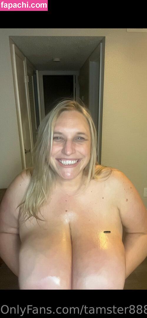 tamster888 leaked nude photo #0069 from OnlyFans/Patreon