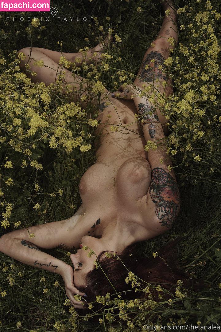 Tana Lea XXX / thetanalea leaked nude photo #0035 from OnlyFans/Patreon