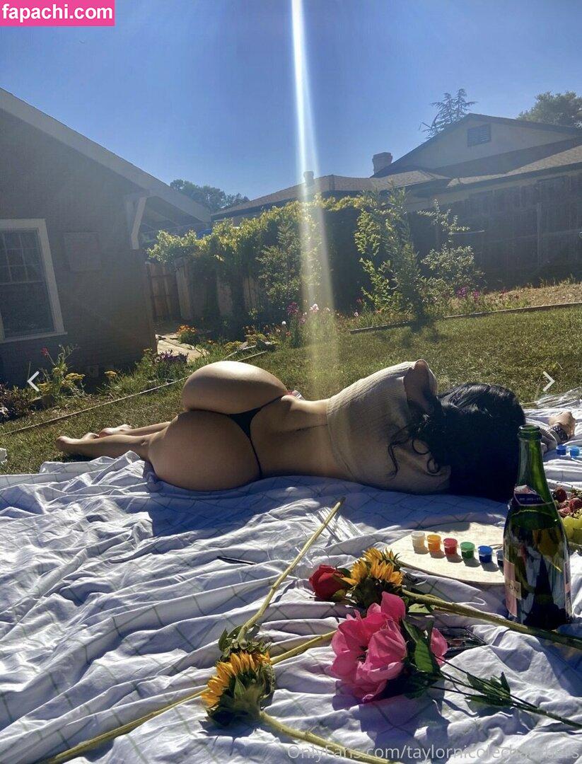 Taylor Nicole Chambers / taylornchambers_ / taylornicolechambers leaked nude photo #1098 from OnlyFans/Patreon