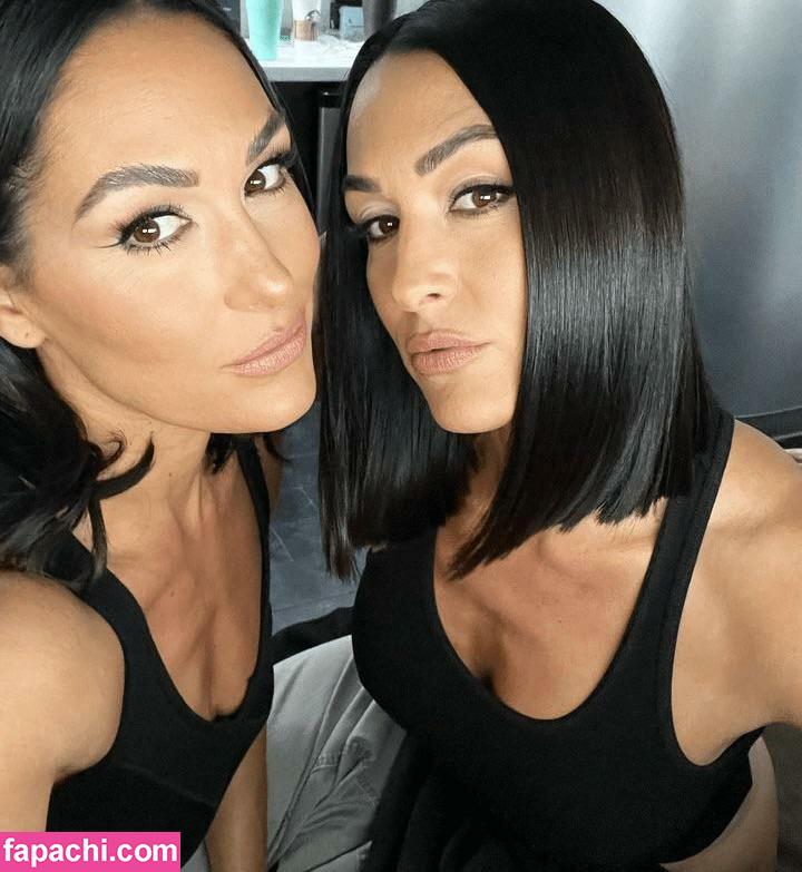 The Bella Twins: / Nikki Bella & Brie Bella / thenikkibella leaked nude photo #0168 from OnlyFans/Patreon