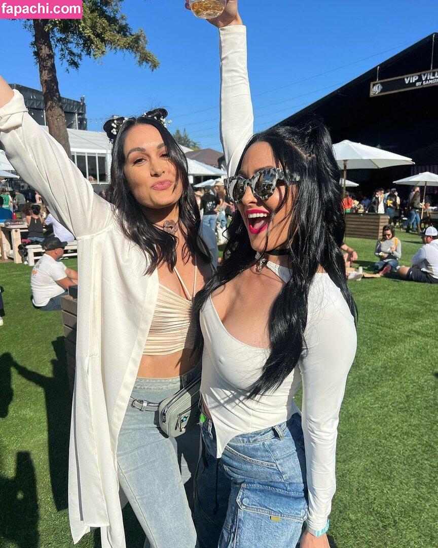 The Bella Twins: / Nikki Bella & Brie Bella / thenikkibella leaked nude photo #0198 from OnlyFans/Patreon