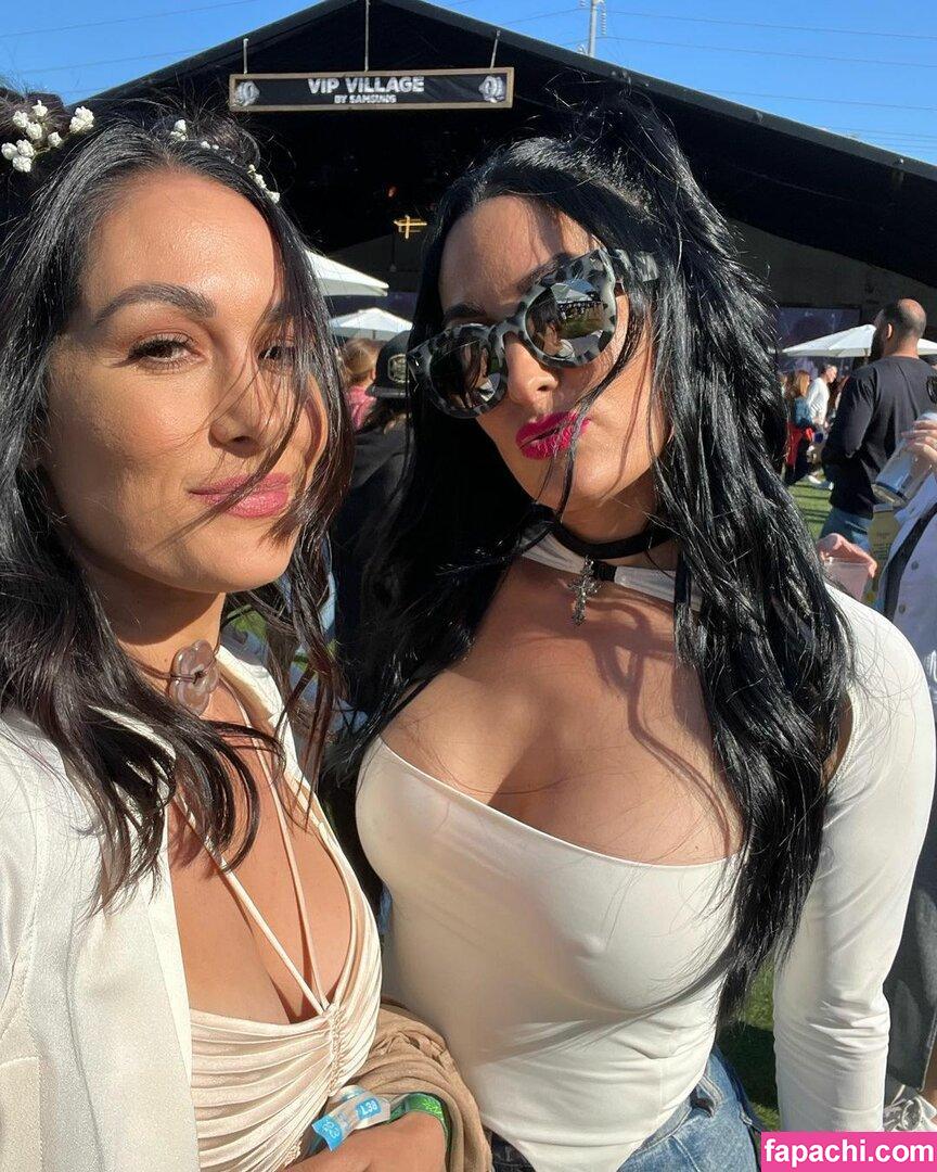 The Bella Twins: / Nikki Bella & Brie Bella / thenikkibella leaked nude photo #0200 from OnlyFans/Patreon