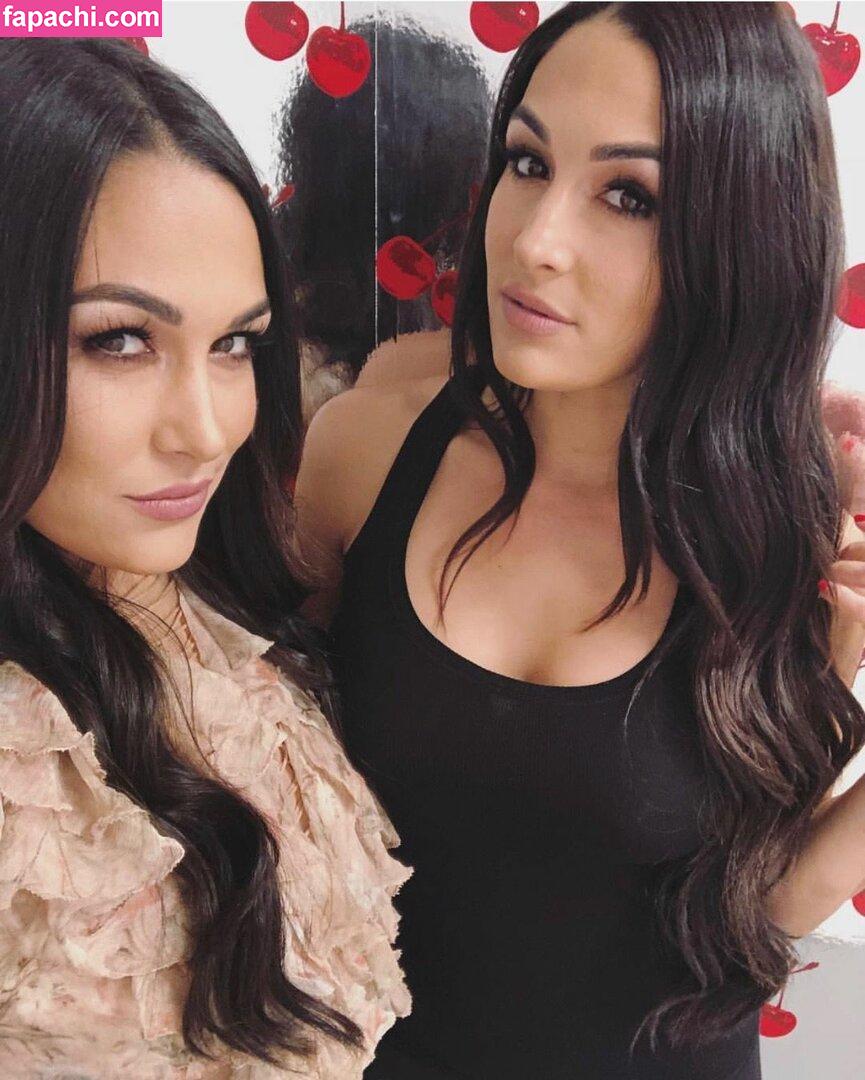 The Bella Twins: / Nikki Bella & Brie Bella / thenikkibella leaked nude photo #0207 from OnlyFans/Patreon