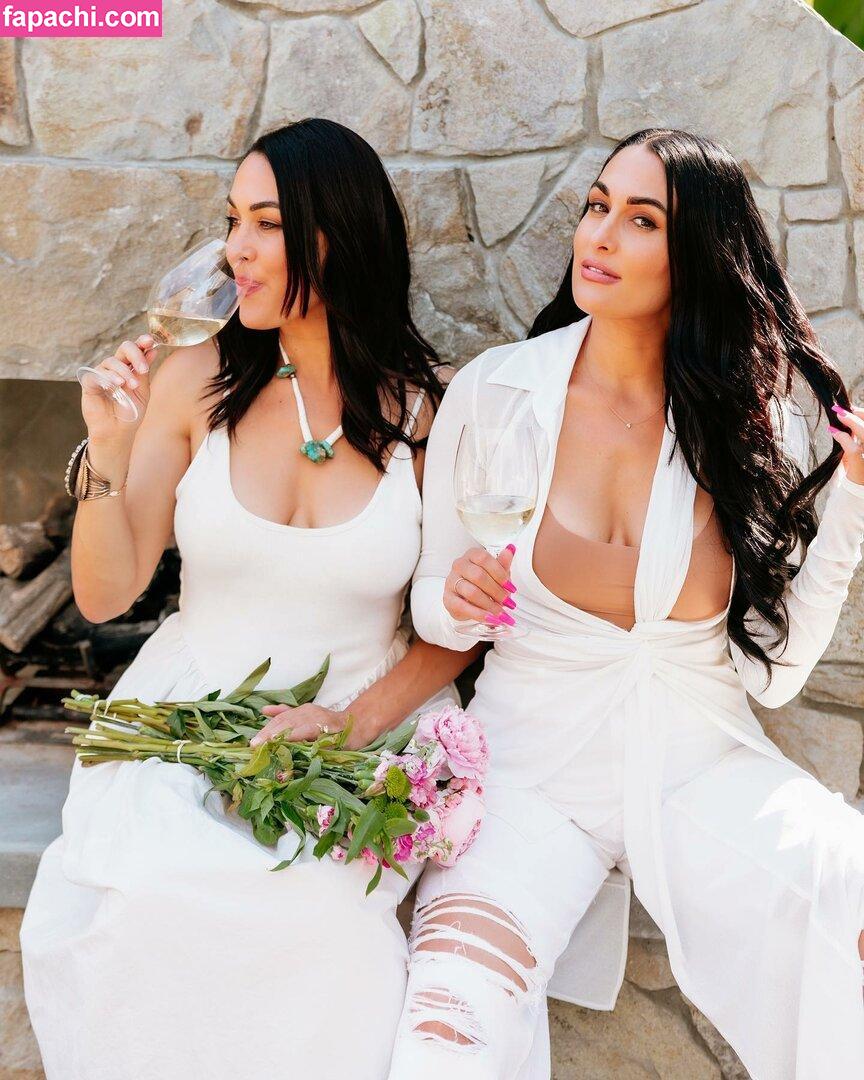 The Bella Twins: / Nikki Bella & Brie Bella / thenikkibella leaked nude photo #0228 from OnlyFans/Patreon