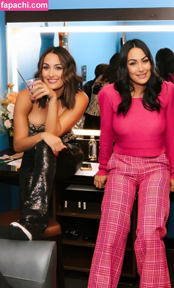 The Bella Twins: / Nikki Bella & Brie Bella / thenikkibella leaked nude photo #0310 from OnlyFans/Patreon