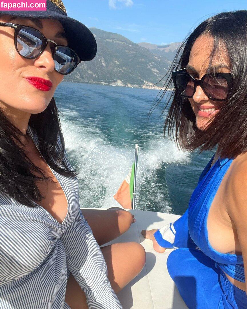 The Bella Twins: / Nikki Bella & Brie Bella / thenikkibella leaked nude photo #0420 from OnlyFans/Patreon