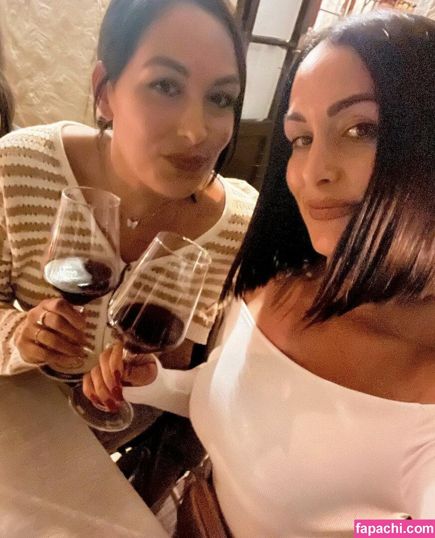 The Bella Twins: / Nikki Bella & Brie Bella / thenikkibella leaked nude photo #0439 from OnlyFans/Patreon