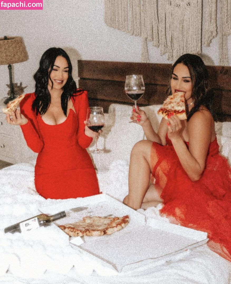 The Bella Twins: / Nikki Bella & Brie Bella / thenikkibella leaked nude photo #0451 from OnlyFans/Patreon