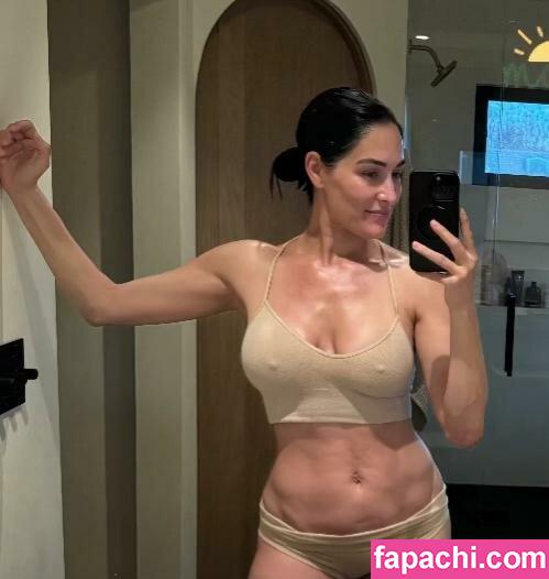 The Bella Twins: / Nikki Bella & Brie Bella / thenikkibella leaked nude photo #0501 from OnlyFans/Patreon