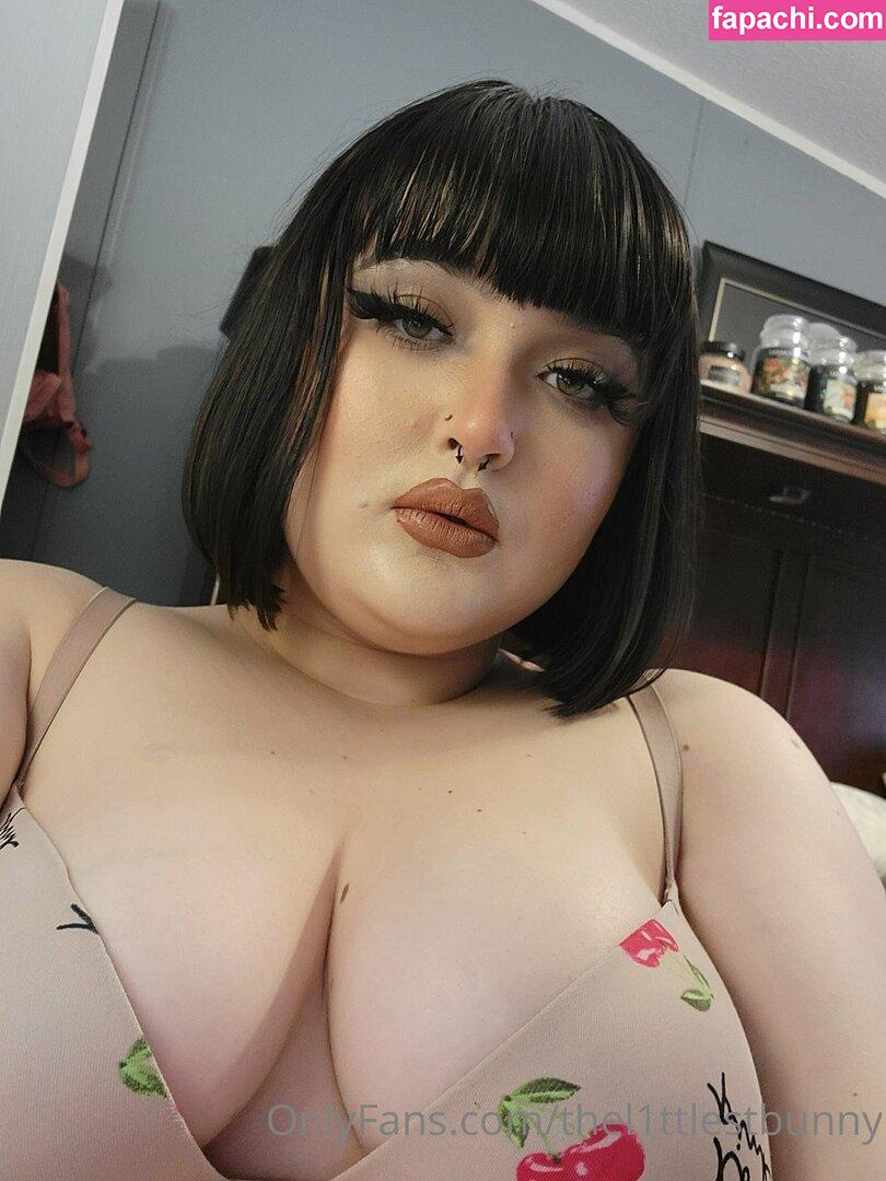 thel1ttlestbunny / thelilpretty_1 leaked nude photo #0068 from OnlyFans/Patreon