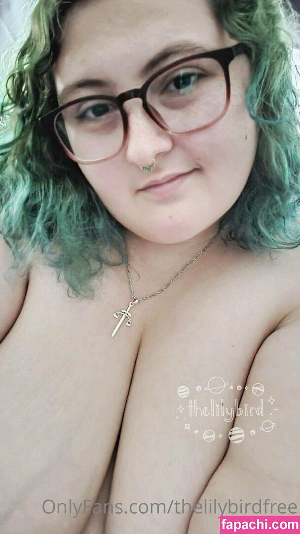 thelilybirdfree / thelilybird leaked nude photo #0001 from OnlyFans/Patreon