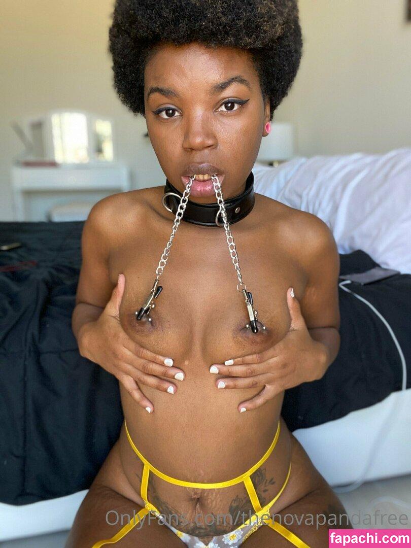 thenovapandafree / thefryingpanprince leaked nude photo #0096 from OnlyFans/Patreon