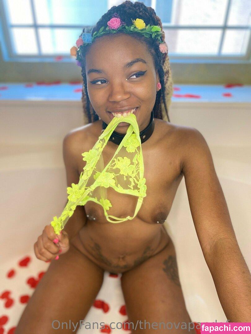 thenovapandafree / thefryingpanprince leaked nude photo #0104 from OnlyFans/Patreon