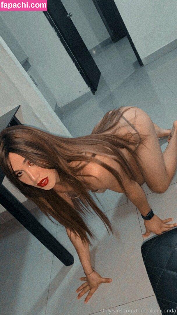 TheRealAnaconda / Anaconda25cm / rezamatajii leaked nude photo #0035 from OnlyFans/Patreon
