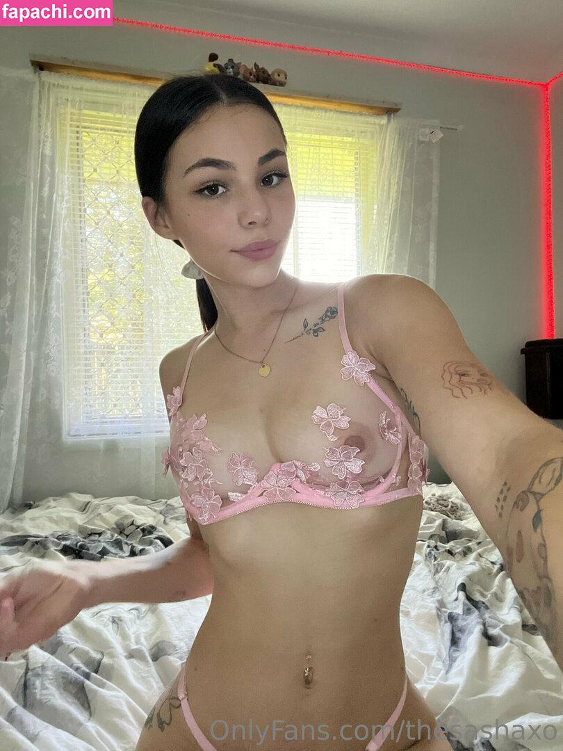 thesashaxo / Shayleebby / sashaxo_ leaked nude photo #0215 from OnlyFans/Patreon