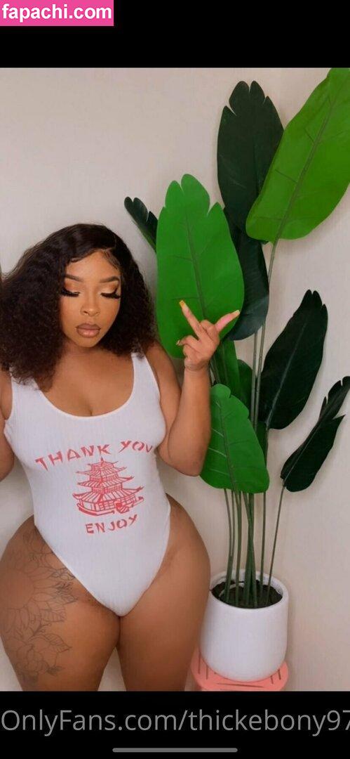 thickebony97 / skynoire leaked nude photo #0007 from OnlyFans/Patreon