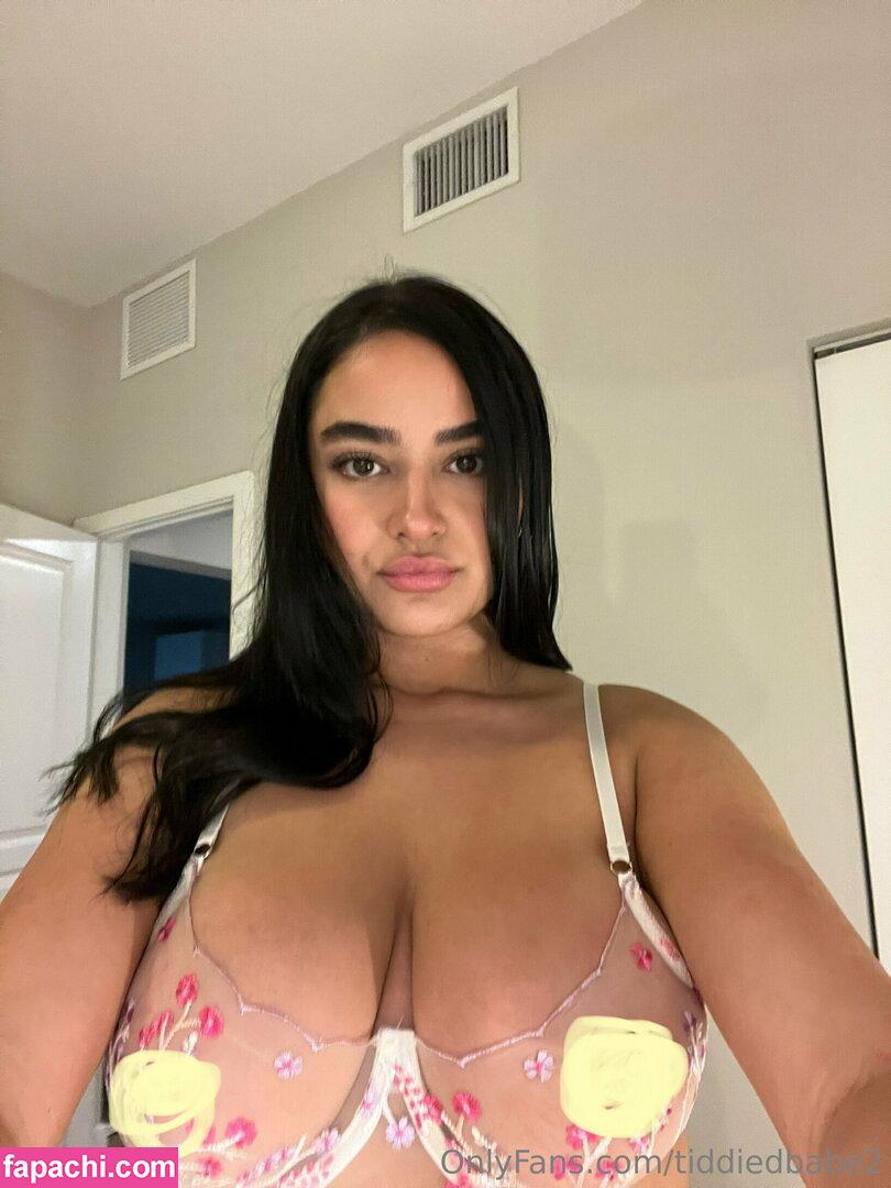 tiddiedbabe2 leaked nude photo #0019 from OnlyFans/Patreon