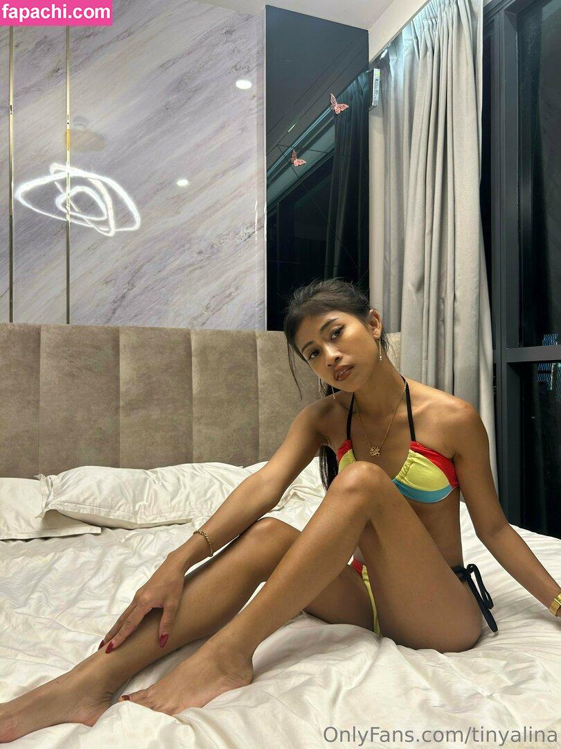 tinyalinaa / tinyalina leaked nude photo #0011 from OnlyFans/Patreon