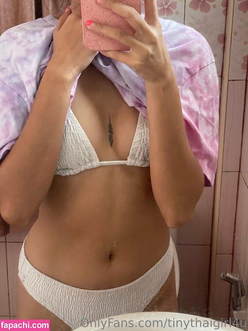 tinythaigirl4u / piixiethaibae leaked nude photo #0070 from OnlyFans/Patreon