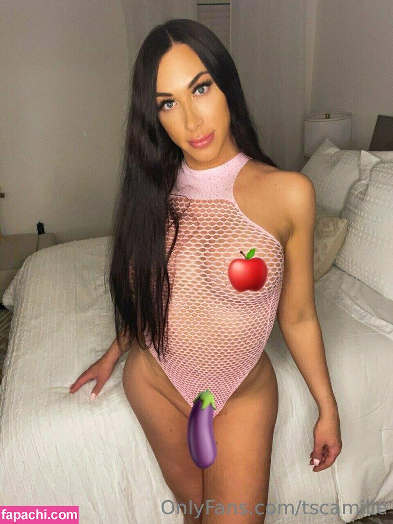 tscamille leaked nude photo #0258 from OnlyFans/Patreon