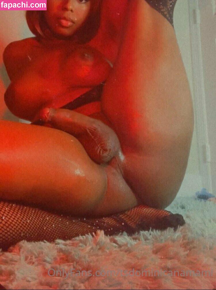 tsdominicanamami / igdominicanas leaked nude photo #0003 from OnlyFans/Patreon